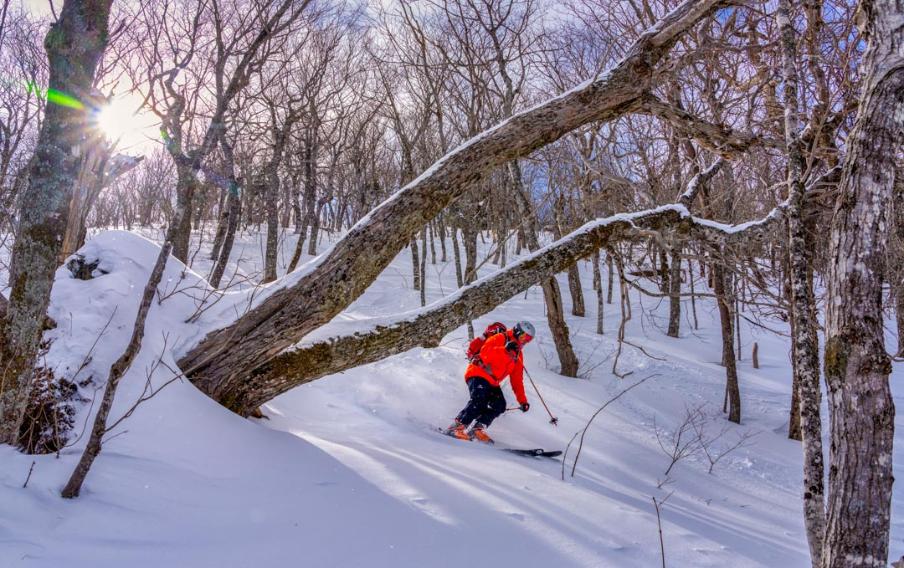 ski cape breton highlands